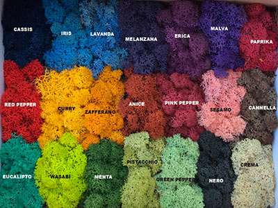 Alcuni colori greenwall