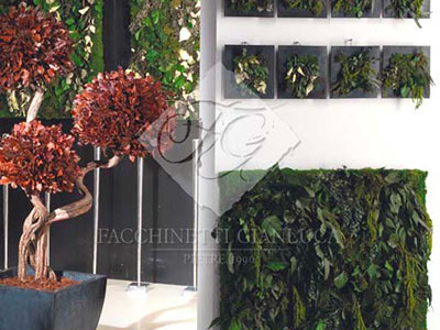 Green wall