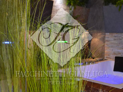Gynerium mazzetti