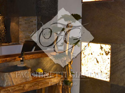 Pianta stabilizzata tronco caffe